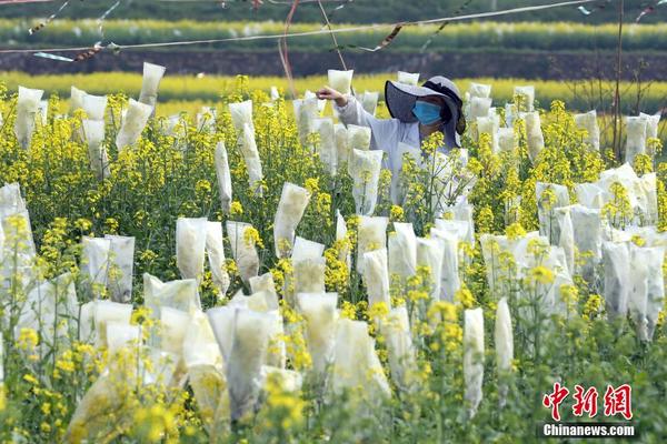 广州白云t2是机场南还是机场北