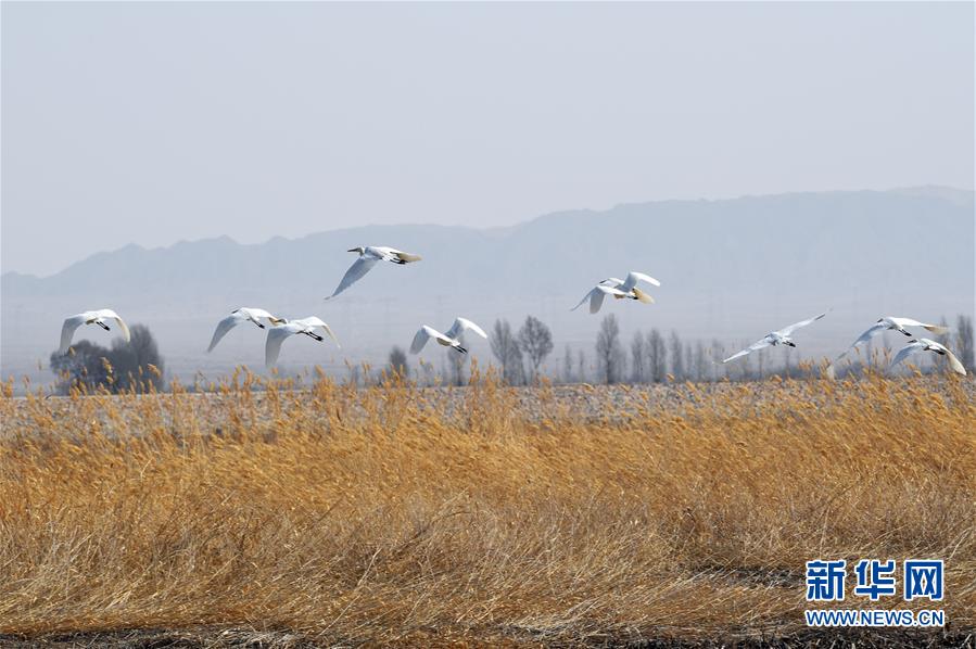 我开空调了是什么梗